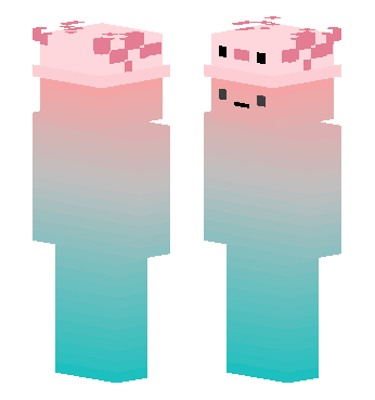 13557163890687391847 · 来源 skin.mualliance.ltd#3479 的 Minecraft 皮肤 预览图